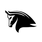 Advanced Shopify Coding